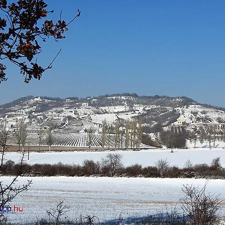 Balaton Felvideki Feher Porta